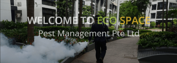 Eco Space - Cheap Pest Control  in Singapore