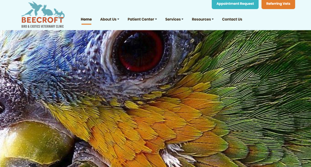 Beecroft Bird & Exotic Veterinary Clinic
