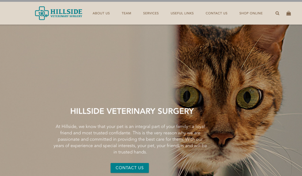 Hillside Veterinary Surgery - Best Vet in Singapore